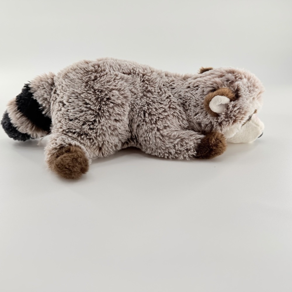 Douglas Ringo Raccoon Plush 10" Stuffed Animal Collectible Realistic 2018 EUC - Picture 3 of 12